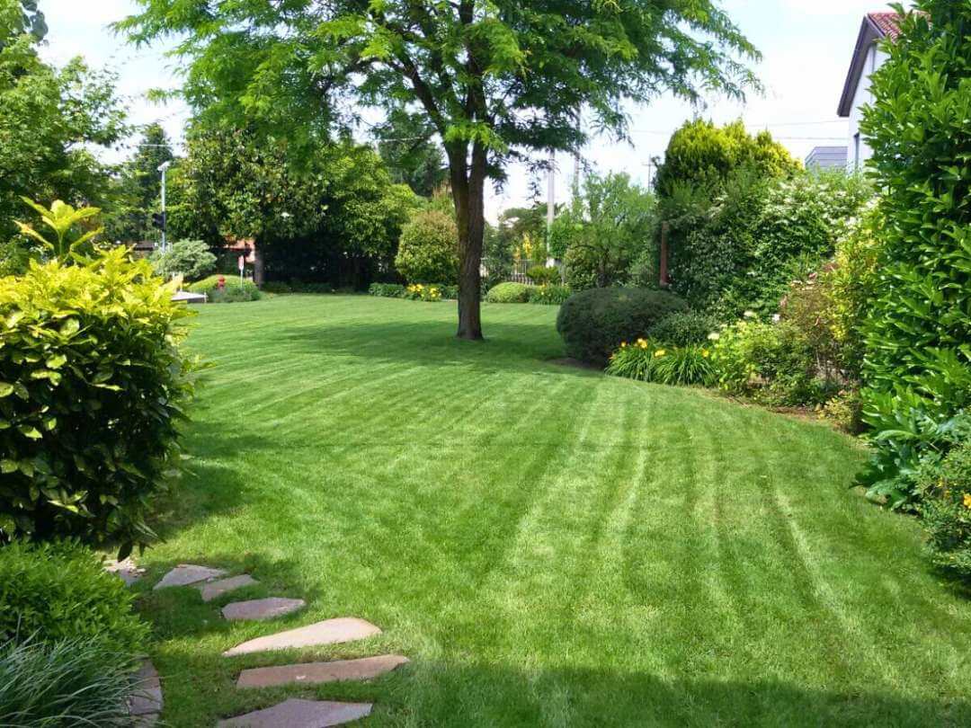 manutenzione giardini oltre il verde